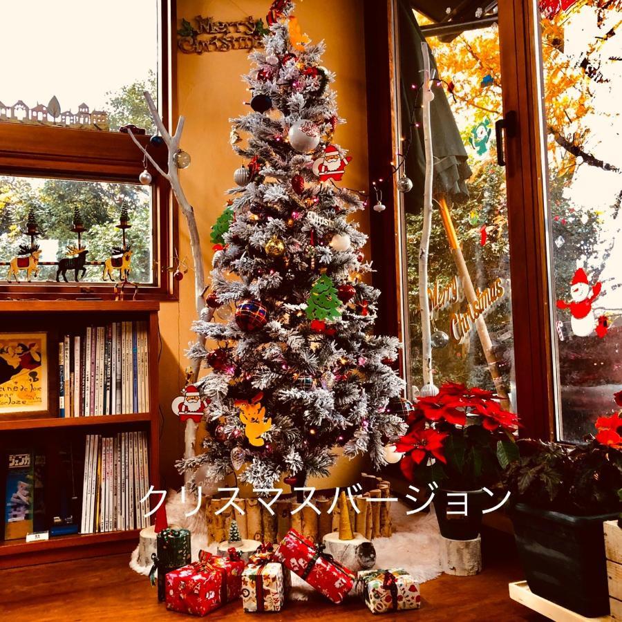 Villa ガーデンハウス Mako Land Toyama Station Exterior foto